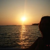 Sandy Curtis Photo 19
