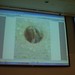 Ellen Pearlman Photo 8