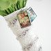 Teri Clay Photo 8