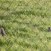 Linda Robins Photo 11