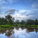 Joseph Langan Photo 9