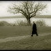 Vernon Winters Photo 8