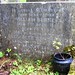 Ann Bennett Photo 27