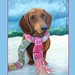 Jill Wieners Photo 4