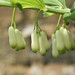 Len May Photo 9