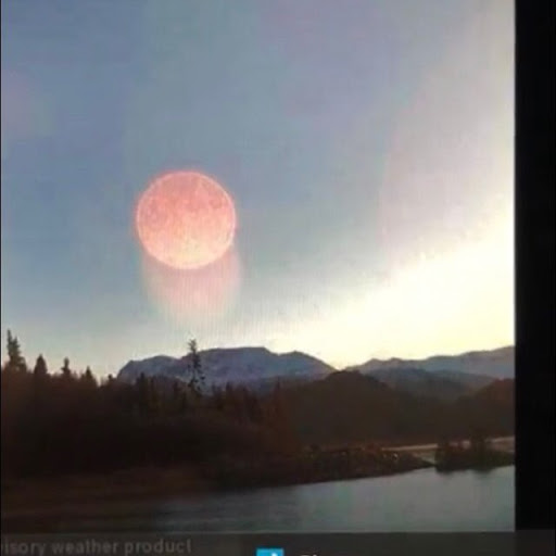 Michael Lentz Photo 51