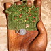 Shelly Tucker Photo 35