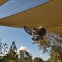 Mark Ehrenberg Photo 8
