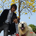 Quan Yu Photo 17