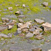 Debra Pond Photo 16