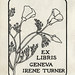 Irene Turner Photo 12