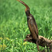 Michael Darter Photo 12