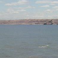 Kenneth Kraemer Photo 12