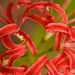Vicki Plant Photo 10
