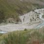 Lynn Thompson Photo 6