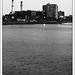 Charles Huth Photo 7