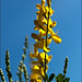 Geoffrey Dyer Photo 21