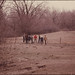 Annette Rowe Photo 12