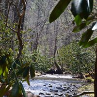 Ann Wolski Photo 11