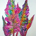 Michael Chard Photo 7