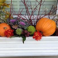 Tammy Kesler Photo 8