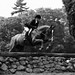 Amy Atkins Photo 47