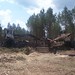 Jesse Peterson Photo 26