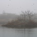 Steven Latham Photo 27