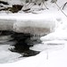 Steven Brooks Photo 20