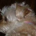 Nancy Gilliland Photo 15