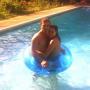 Carol Simmons Photo 34