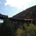 Ginny Clayton Photo 9