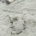 Jessica Seals Photo 27