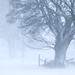 Daniel Borders Photo 11