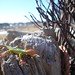 Randal Weeks Photo 10