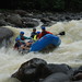 Susan Mcneely Photo 16