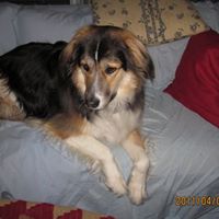 Diane Healy Photo 18