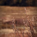 Michael Hiser Photo 16