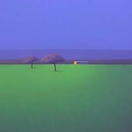 David Findley Photo 33