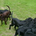 Millie King Photo 16