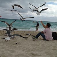 Robert Li Photo 25