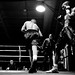 Terry Rowe Photo 28