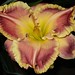 Gary Colby Photo 22