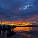 Sun Lim Photo 13