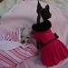 Jenny Akers Photo 17