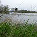 Frances Grass Photo 6