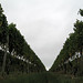 John Kleck Photo 10