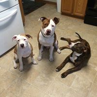 Teresa Beebe Photo 20