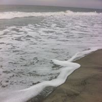 Jennifer Ruark Photo 9