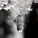 April Winters Photo 31